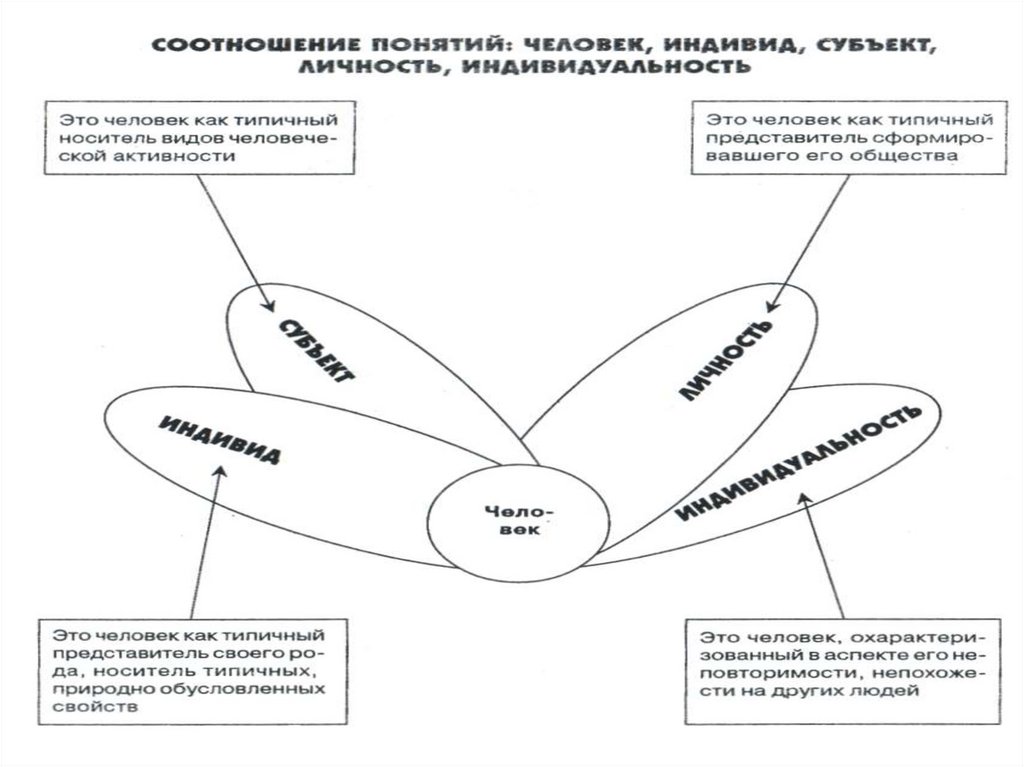 Сущность понятий человек индивид личность