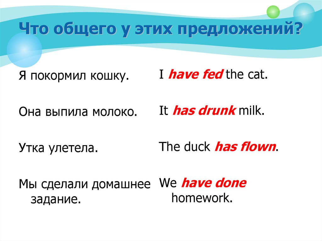 Что общего у этих предложений?