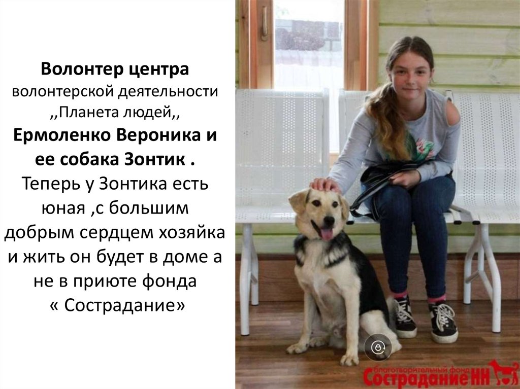 Волонтер центра волонтерской деятельности ,,Планета людей,, Ермоленко Вероника и ее собака Зонтик . Теперь у Зонтика есть юная
