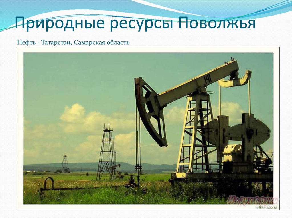 Топливные ресурсы поволжья представлены нефтью газом