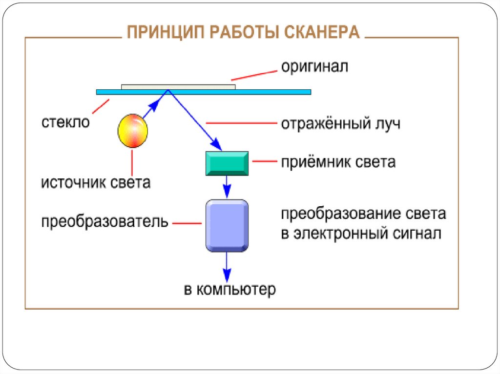 Алгоритмом является инструкция сканера фотография сканера электрическая схема сканера схема