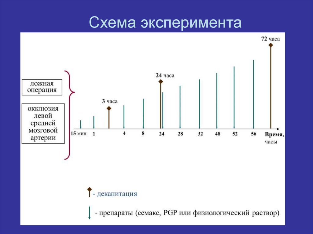 Схема эксперимента это
