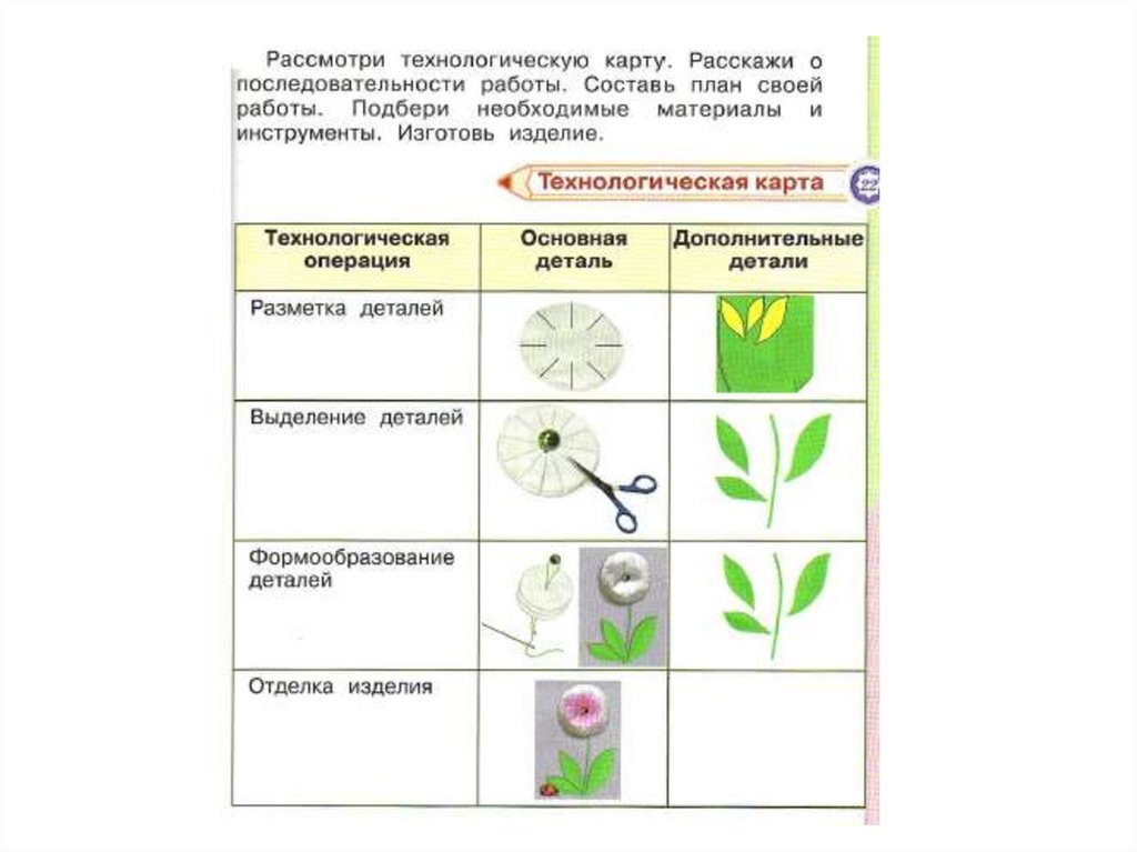 Технологическая карта растений