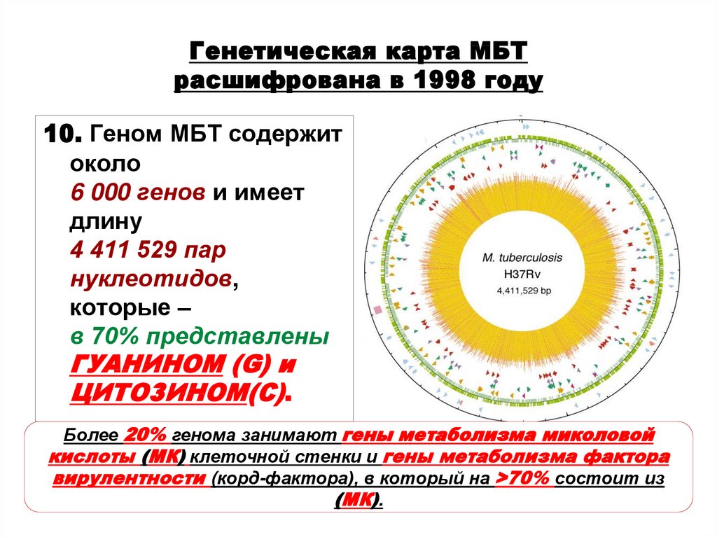 Генетическая карта здоровья