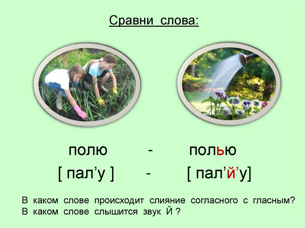 Слово поле. Предложение со словом полю. Предложения со словом полю и полью. Составить предложения со словами полю и полью. Составить предложение со словом полю.