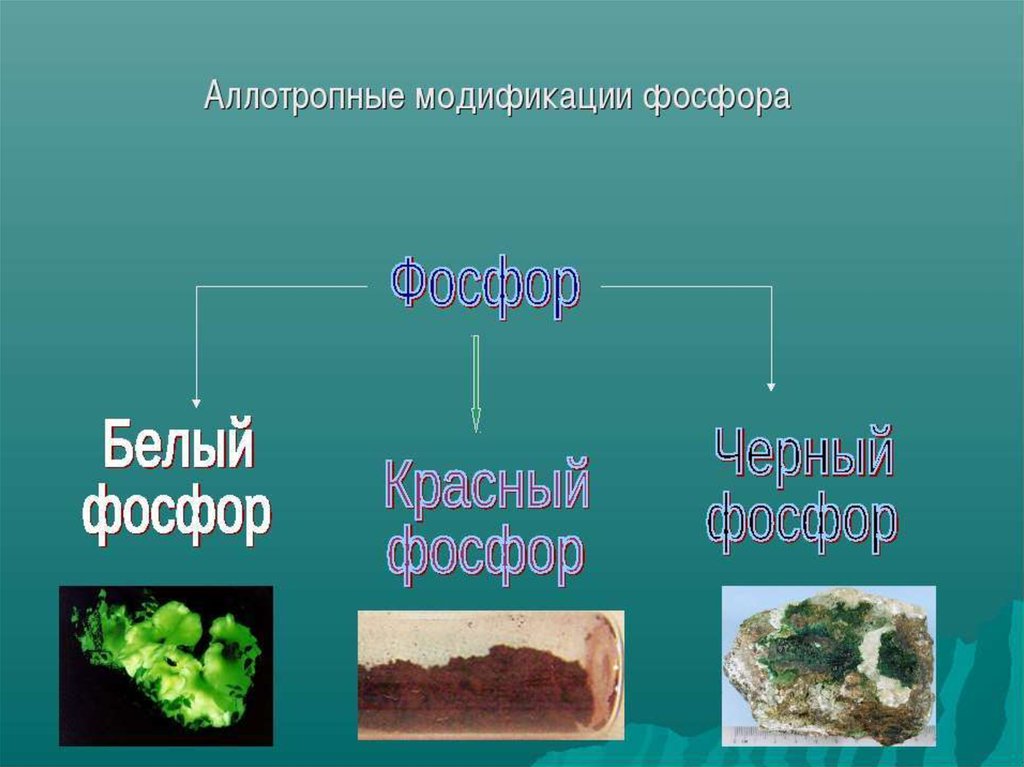 Описать фосфор по плану