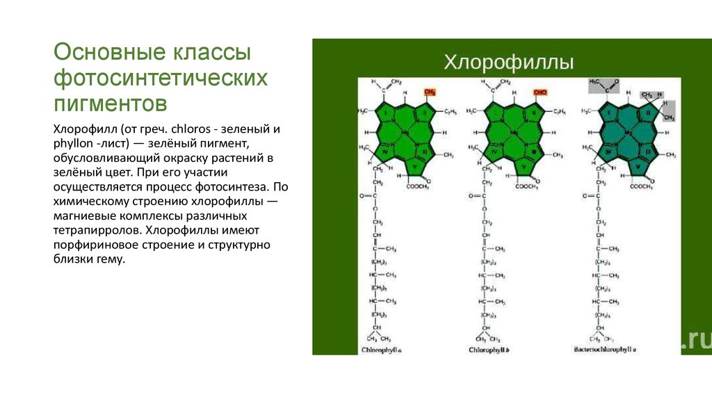 Пигмент хлорофилла содержится. Типы хлорофилла у растений. Классификация пигментов для фотосинтеза. Фотосинтетические пигменты высших растений. Пигменты зеленого листа хлорофиллы а.