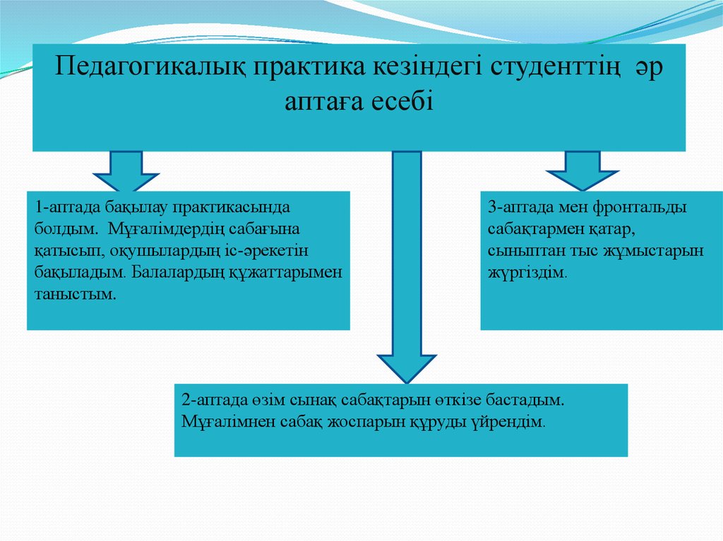 Пед практика есебі презентация