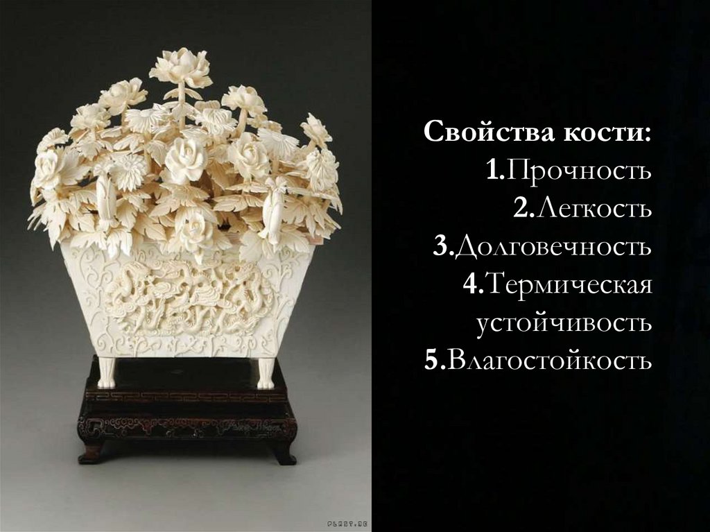 Кость - презентация онлайн