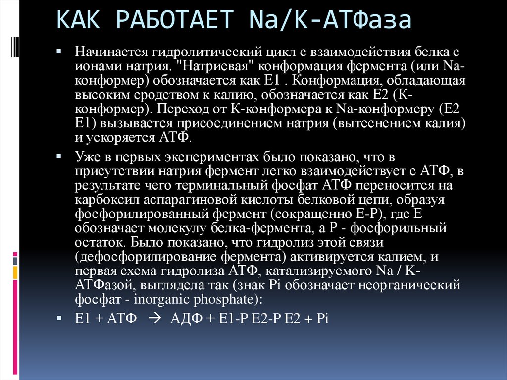 Атфаза. Натрий калиевая АТФАЗА. Na k АТФАЗА. Работа натрий калиевой АТФАЗЫ. Na k АТФАЗА локализация.