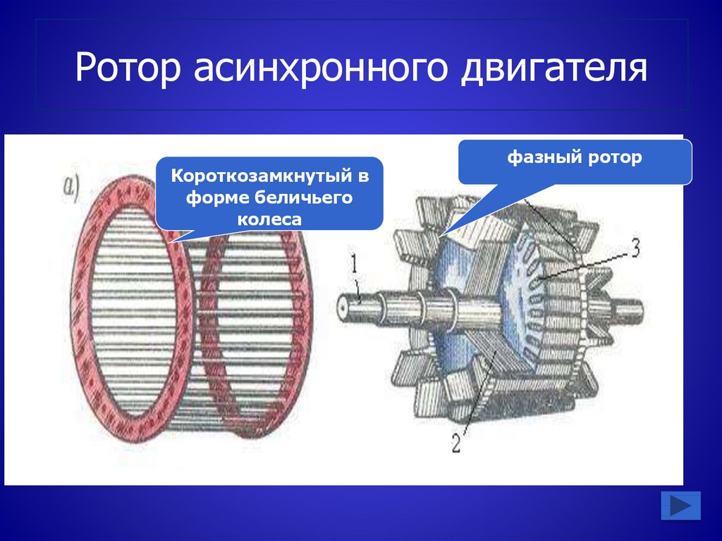 Ротор асинхронного двигателя