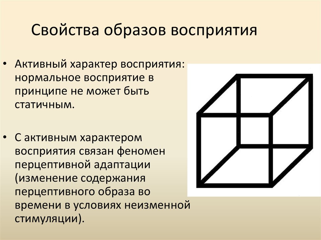 Построение перцептивного образа