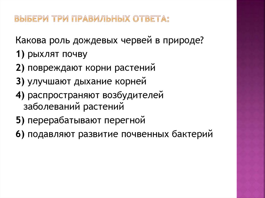 Значение червей в природе и жизни. Значение червей в природе. Какова роль дождевых червей. Значение дождевого червя. Значение дождевых червей в природе.