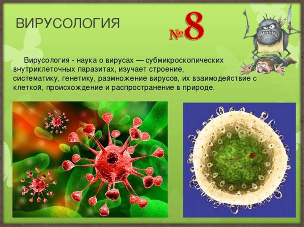 Представители вирусов 5 класс биология. Вирусология это наука. Вирусология наука о вирусах. Вирусология это в биологии. Вирус изображение биология.