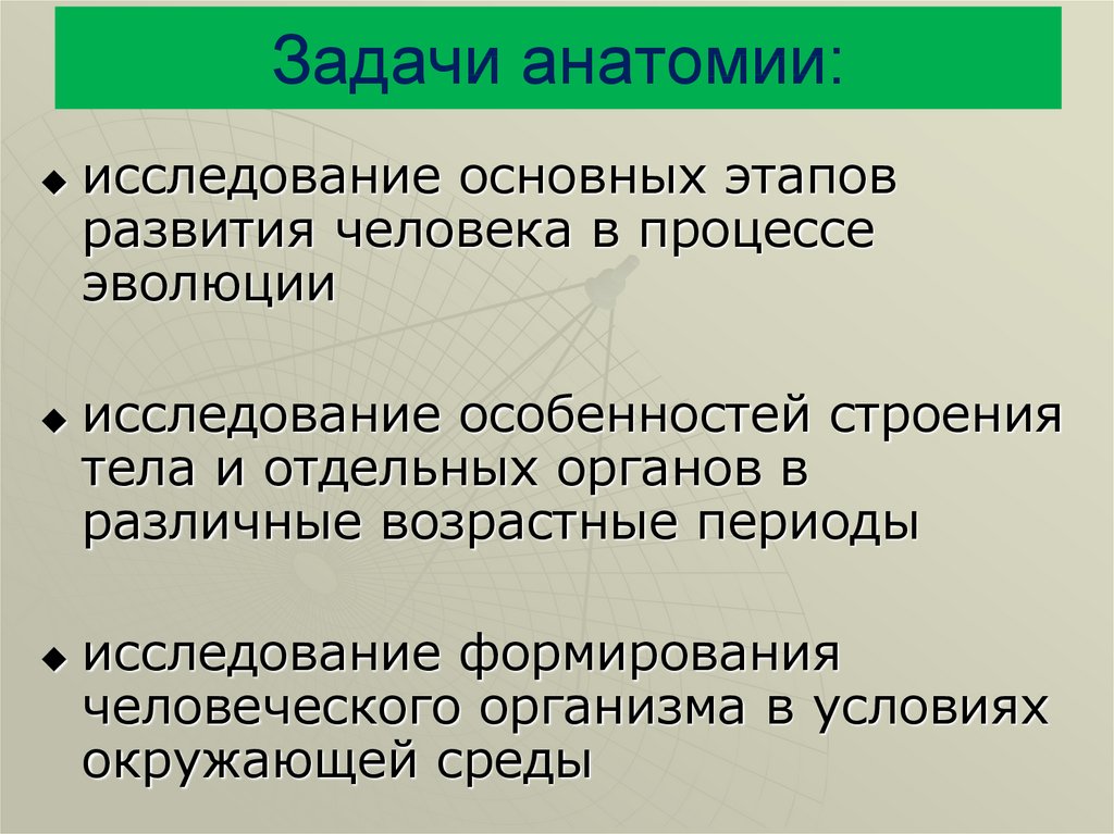 Задачи анатомии и физиологии