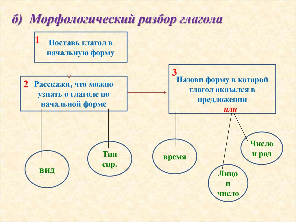 Морфологический разбор глагола 6 класс презентация к уроку