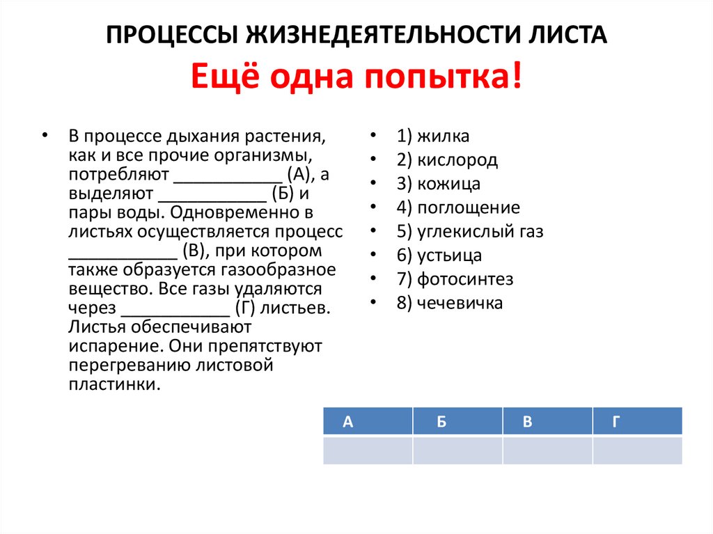 Процессы жизнедеятельности