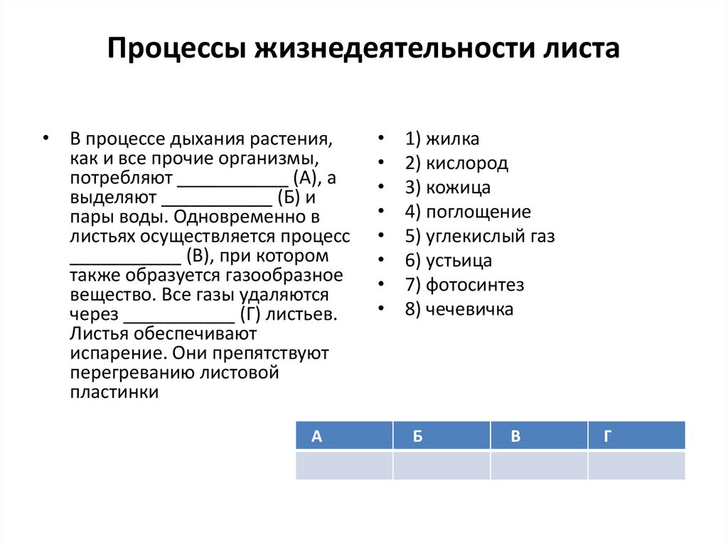 Процессы жизнедеятельности человека. Процессы жизнедеятельности листа. Таблица процессы жизнедеятельности листа. Процессы жизнедеятельности дыхание это процесс. Процесс жизнедеятельности растений дыхание.