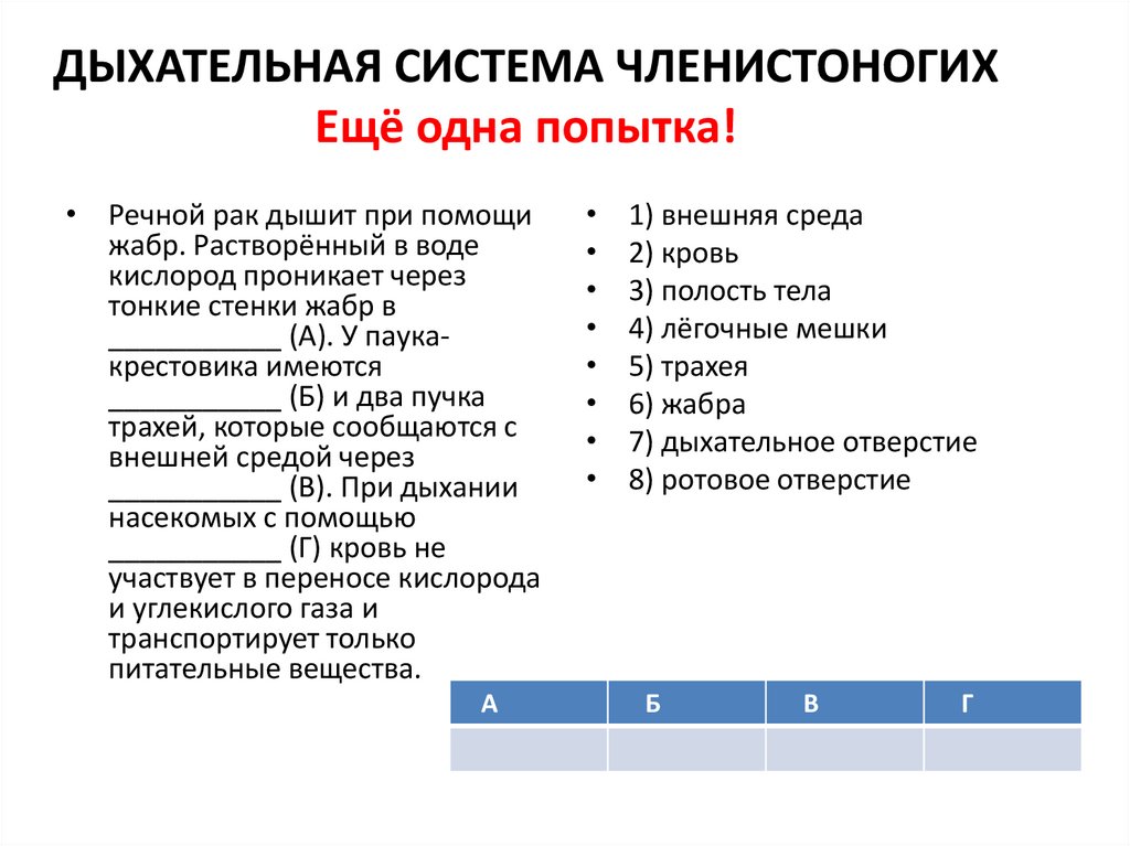 Органы дыхания членистоногих