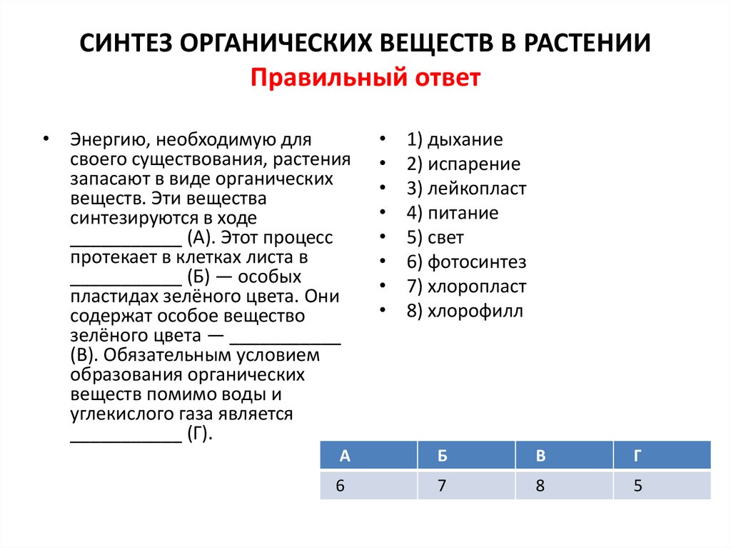 Списки синтез. Синтез органических веществ. Снетз органических веществ в растении. Синтез органических веществ в растении. Синтез органических соединений.