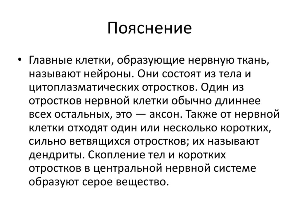 Гиподерма. Гиподерма строение. Гиподерма это в паразитологии. Защищают организм от переохлаждения.