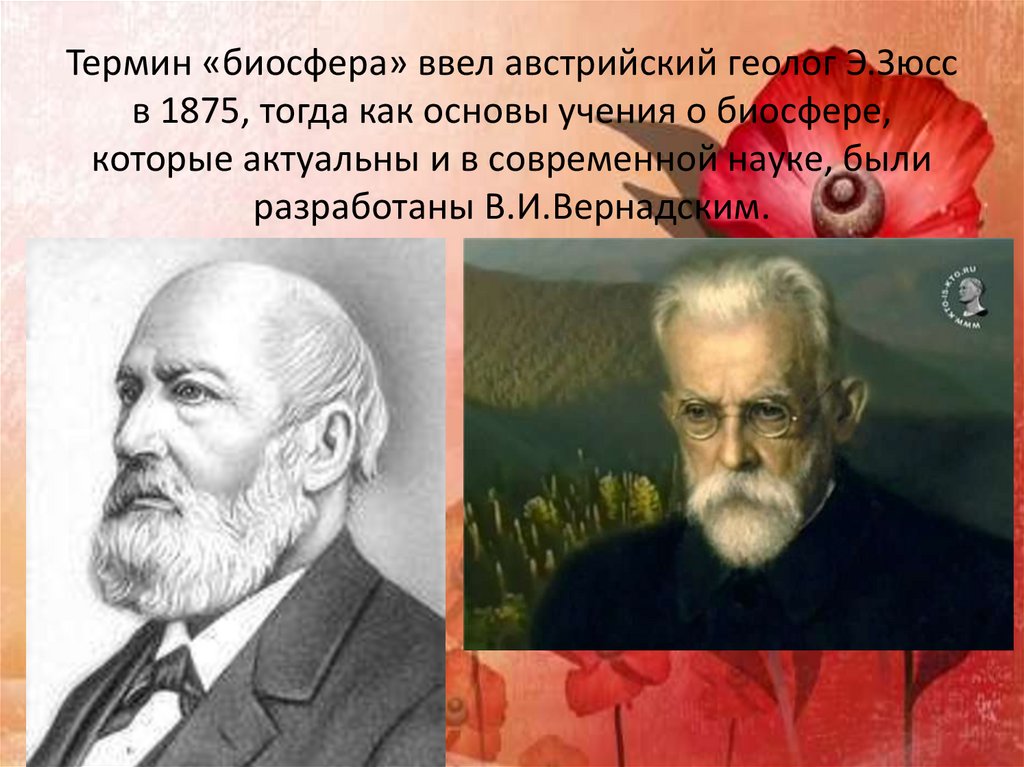 Биосфера предложил. Э Зюсс Биосфера. Э.Зюсс Биосфера.и Вернадский. Термин Биосфера ввел. Автор термина Биосфера.