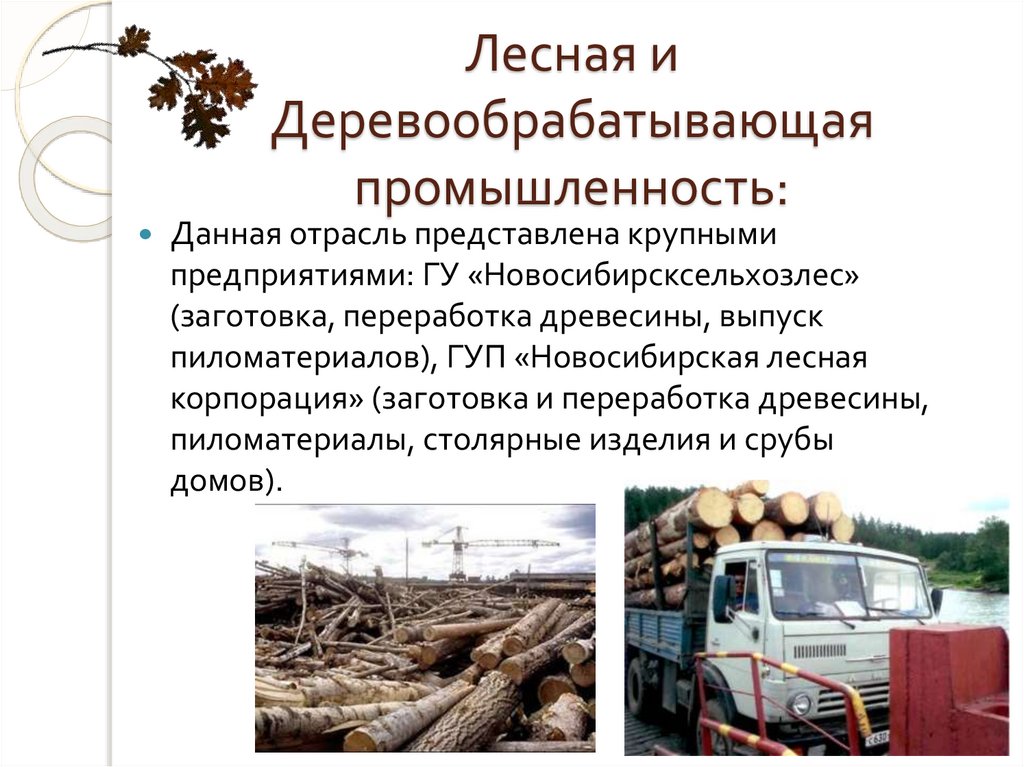 Регионы деревообрабатывающей промышленности