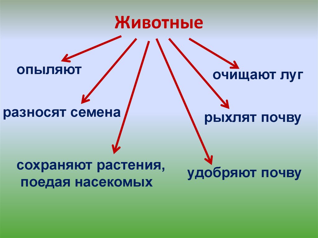 Какое из приведенных определений проекта верно проект уникальная деятельность имеющая начало