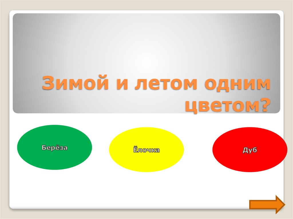 Выберите 1 из нескольких правильных ответов