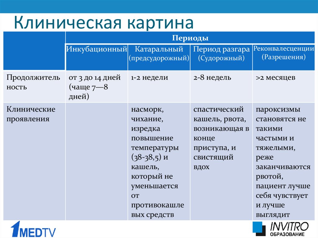 Периоды коклюша