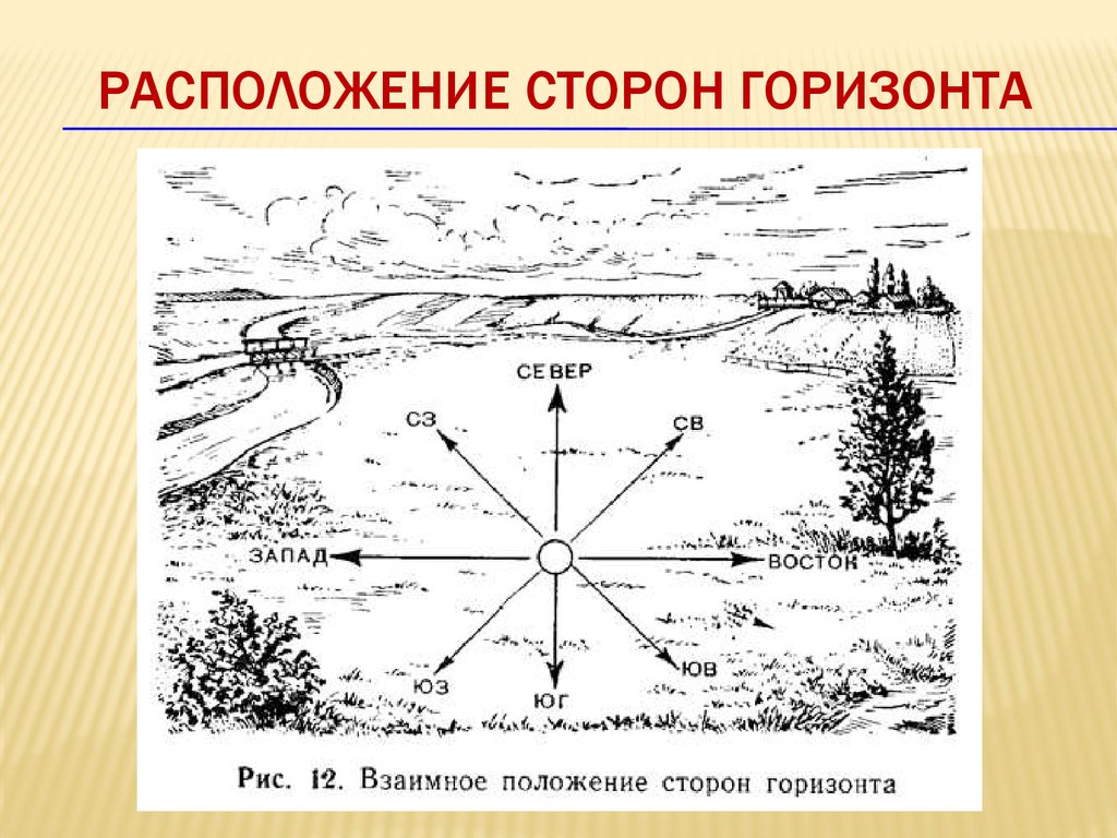 Какие стороны горизонта обозначены буквами. Определение направлений на стороны горизонта по компасу. Ориентирование на местности по карте и компасу Азимут. Ориентирование на местности стороны горизонта Азимут. Карта по определению направления сторон горизонта.