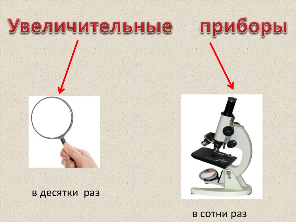 Увеличительные приборы 5