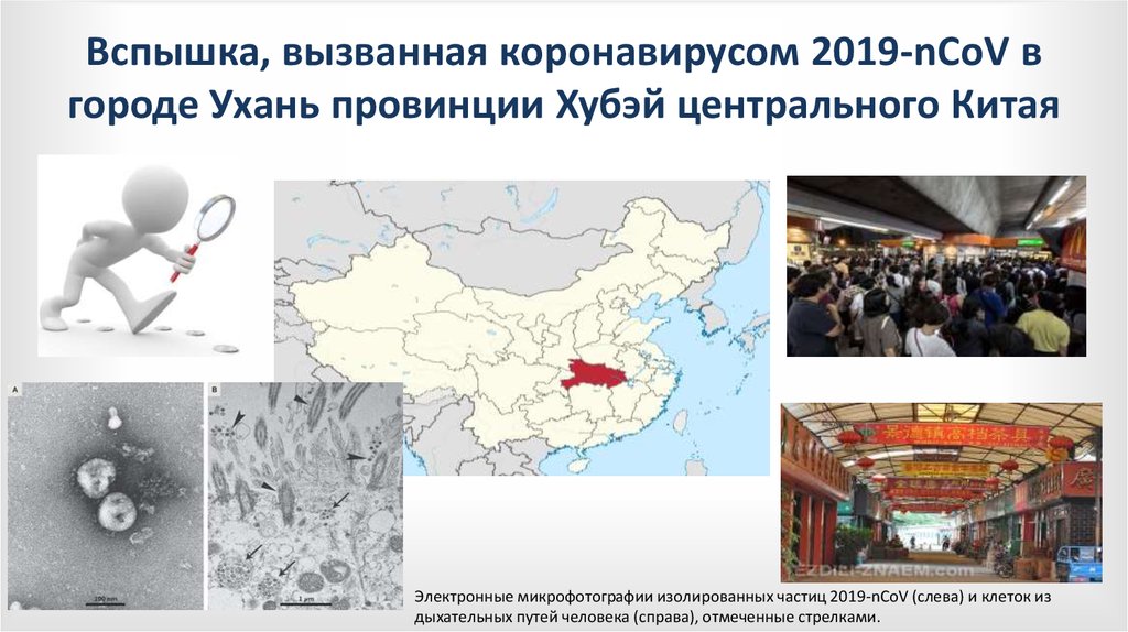 Вспышка, вызванная коронавирусом 2019-nCoV в городе Ухань провинции Хубэй центрального Китая