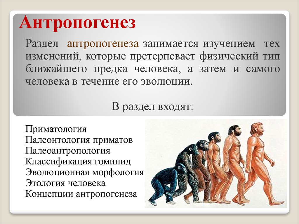 Презентация на тему возникновение и история развития теории эволюции