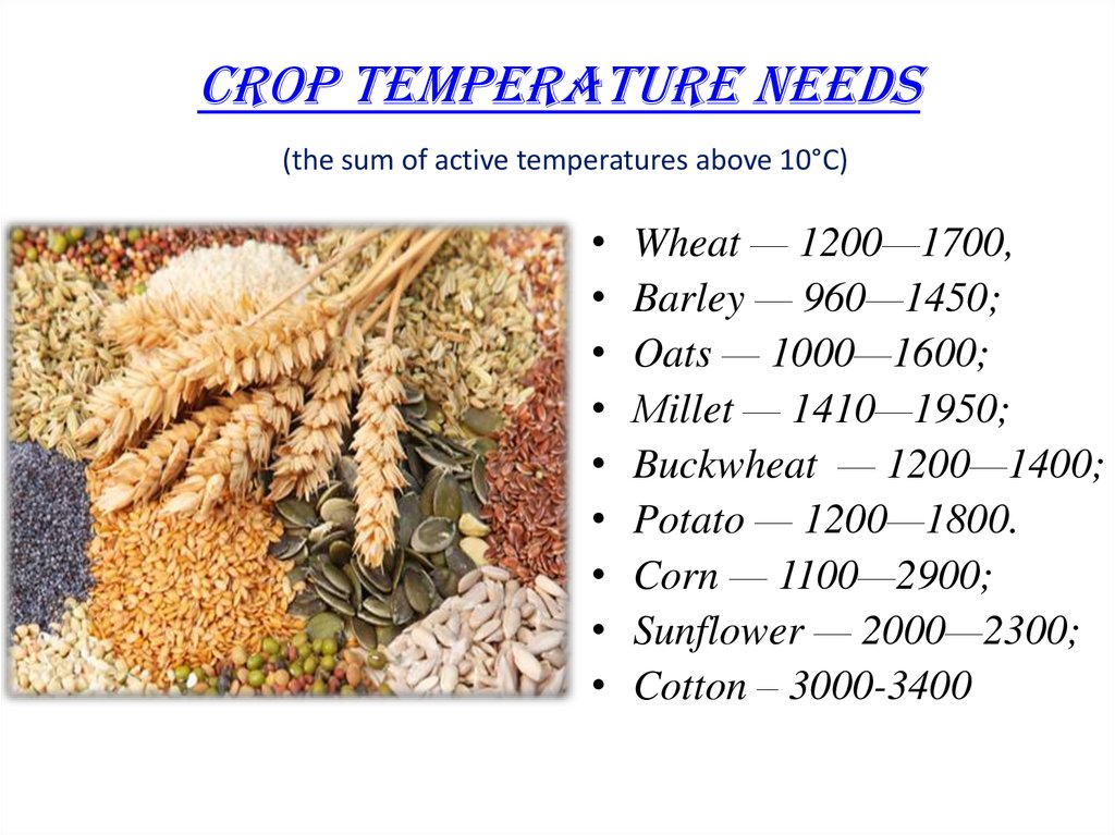 CROP TEMPERATURE NEEDS (the sum of active temperatures above 10°C)