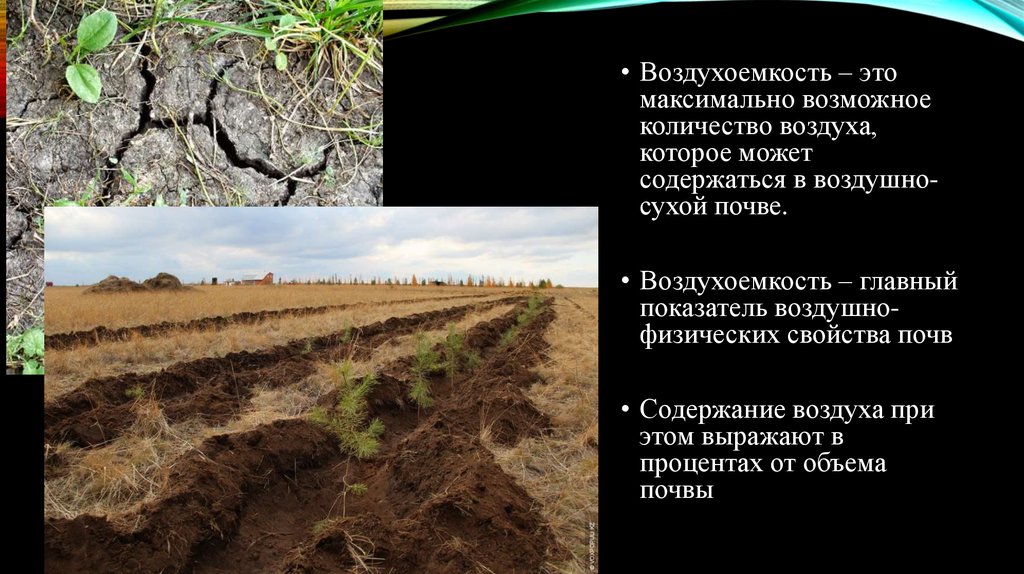 Какие почвы в степях россии. Воздухоемкость почвы. Буферные свойства почвы. Водные свойства почвы. Характеристики почвенной следы.