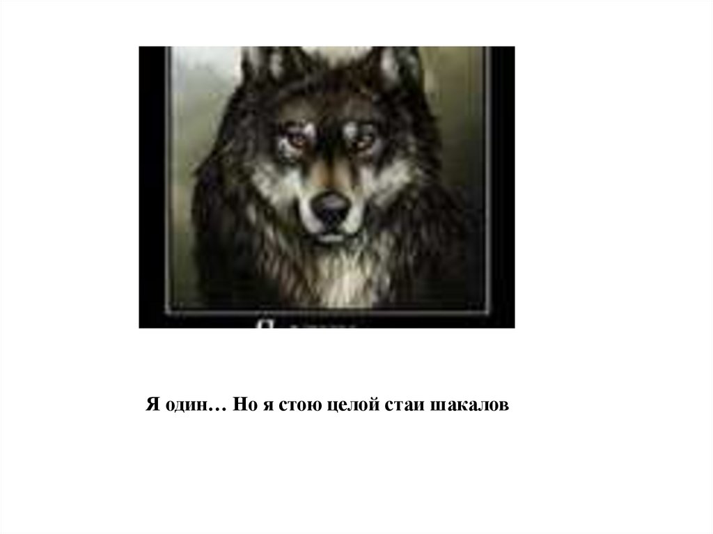 Лучше быть последним среди волков чем первым среди шакалов картинка