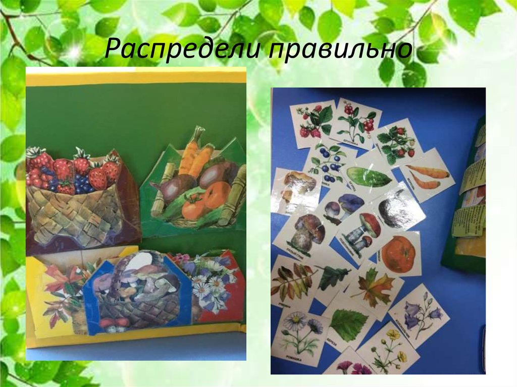 Распредели правильно