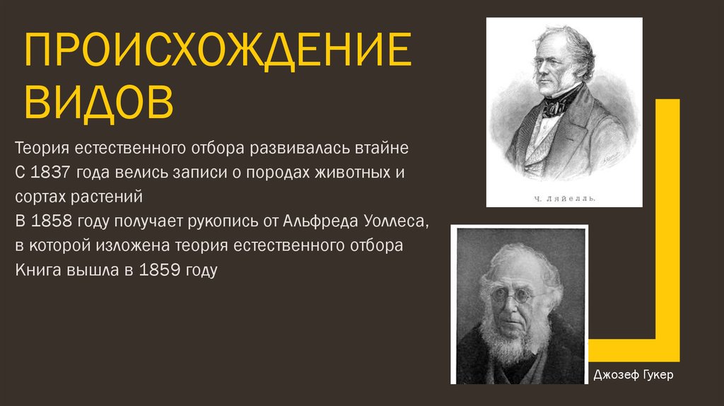 Происхождение видов 73 глава на русском