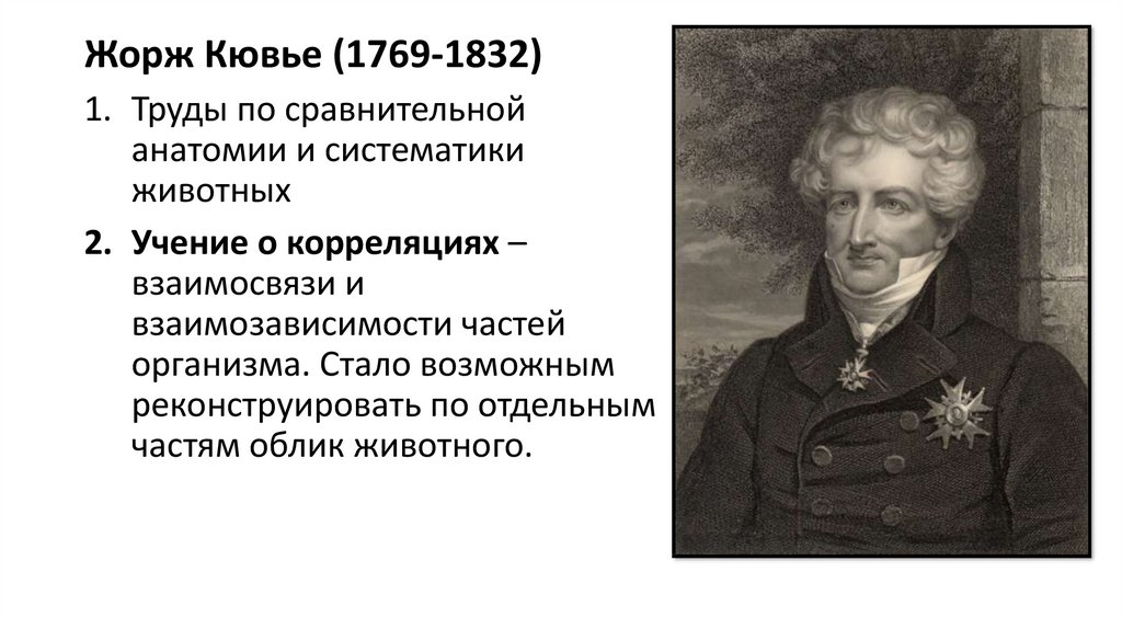 История развития эволюционных идей презентация 10 класс