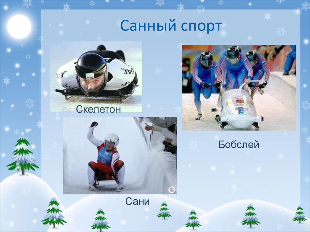 Санный спорт скелетон