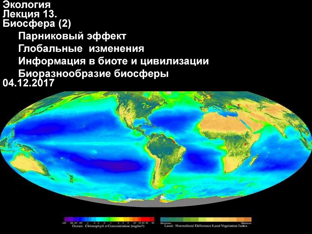 Глобальные проблемы биосферы презентация