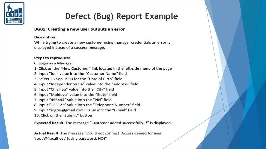 Defect (Bug) Report Example.