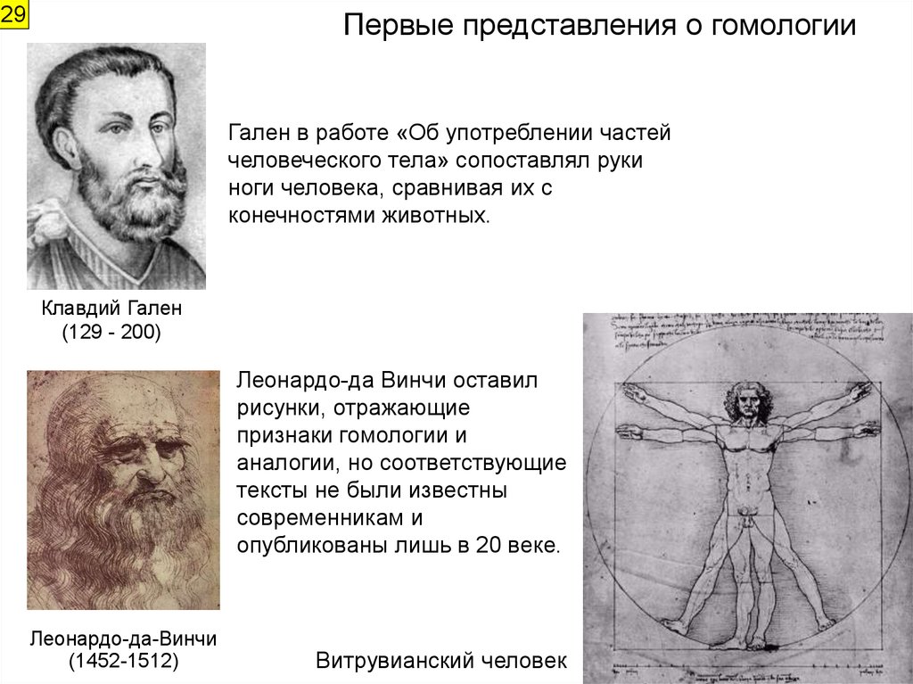 Ранние представления. Представление Галена о строении человеческого тела. Представления Клавдия Галена о строении человеческого тела. Гален представление о происхождении человека. Клавдий Гален Леонардо да Винчи.