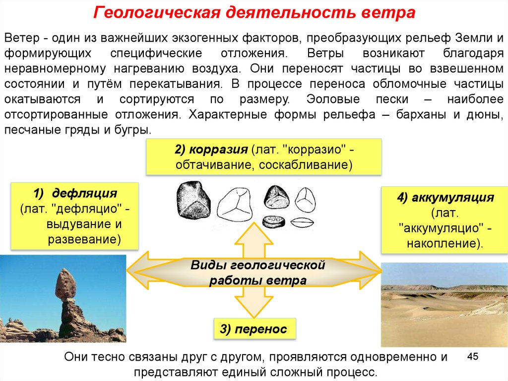 Виды деятельности ветра