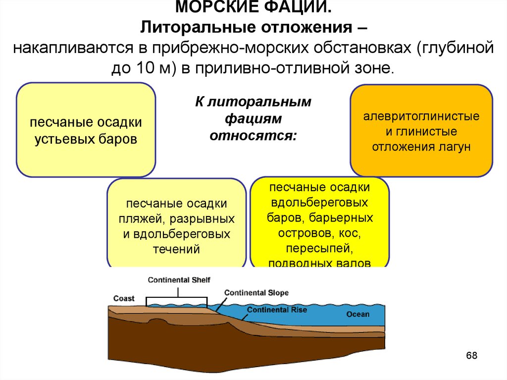 МОРСКИЕ ФАЦИИ. Литоральные отложения – накапливаются в прибрежно-морских обстановках (глубиной до 10 м) в приливно-отливной