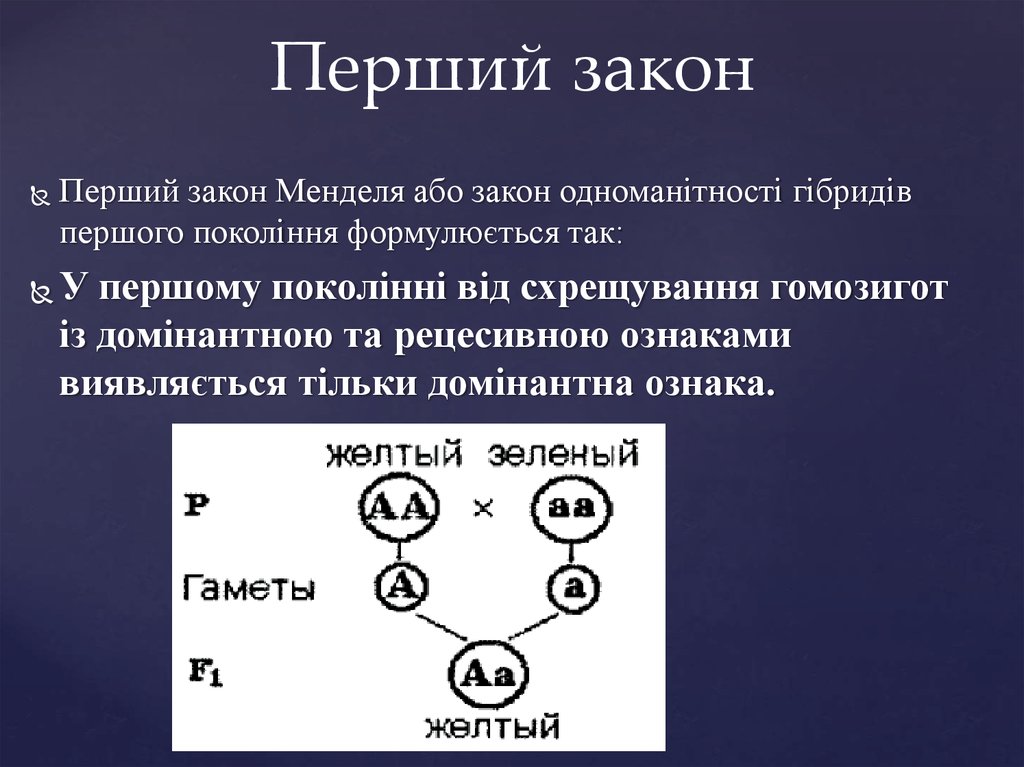 Первый закон менделя презентация