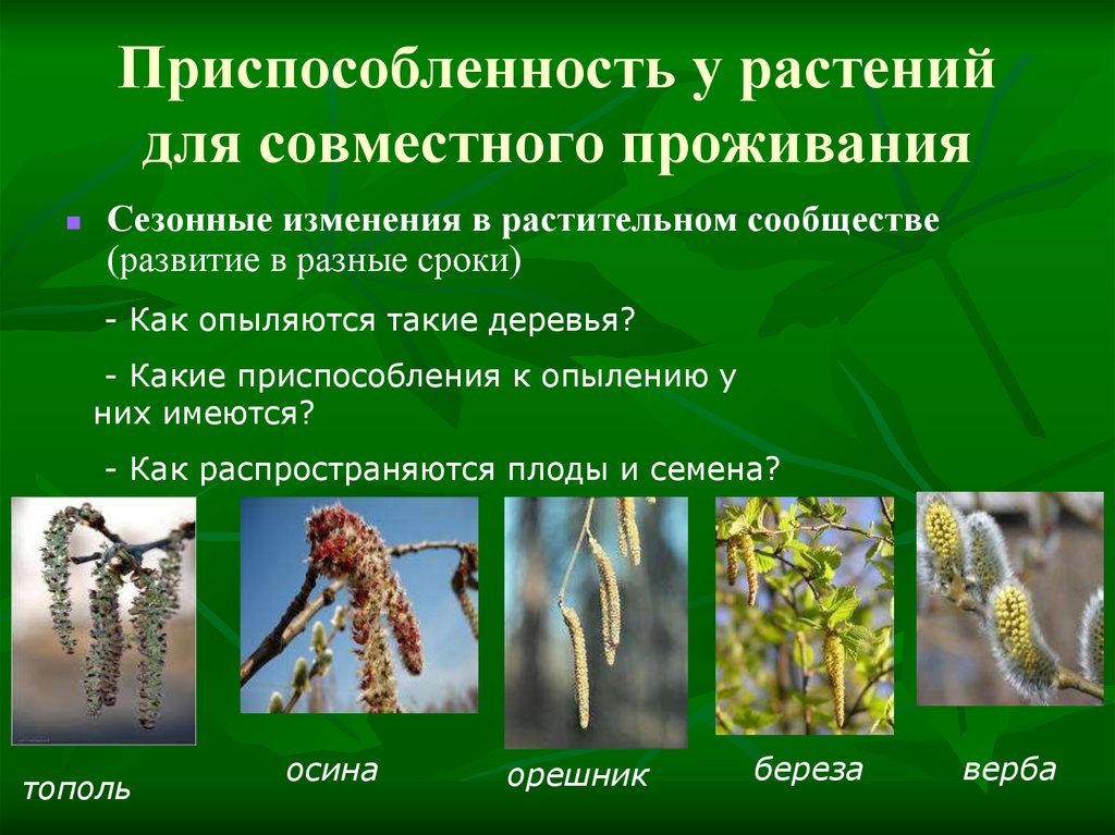 Растительные сообщества 7 класс биология вопросы