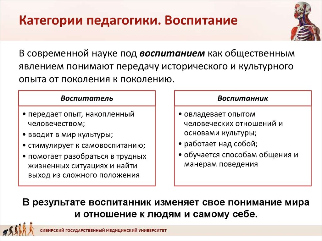 Категории педагогики схема