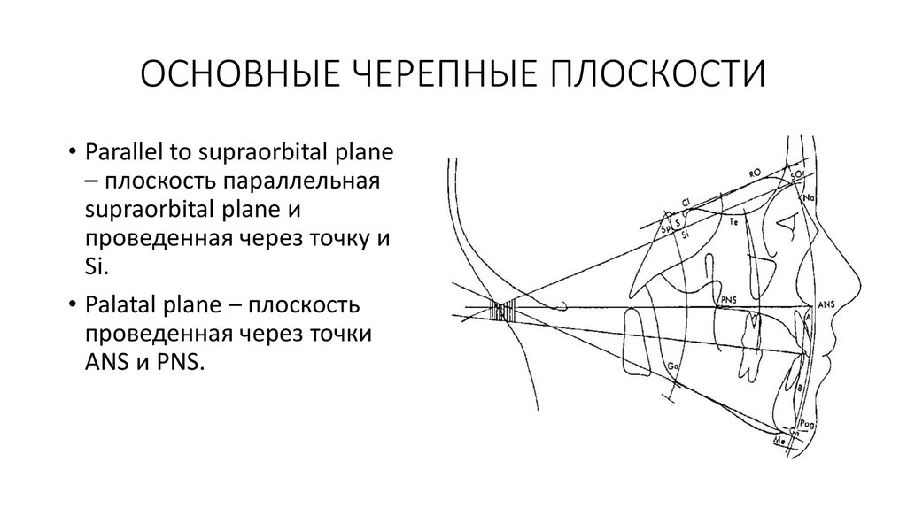 ОСНОВНЫЕ ЧЕРЕПНЫЕ ПЛОСКОСТИ
